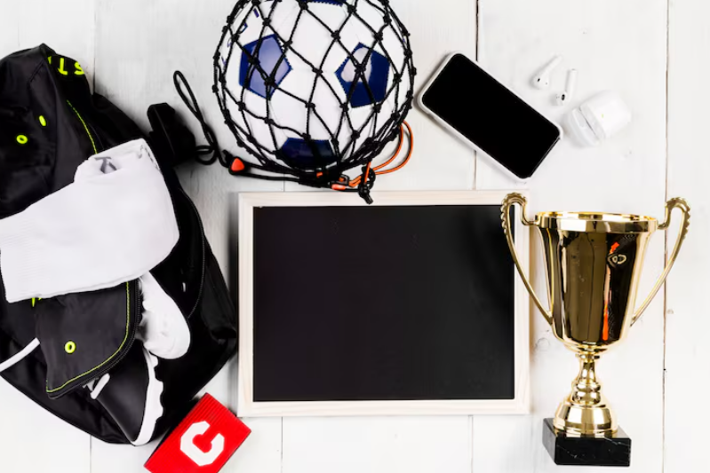 какой вид спорта выбрать новичку для ставок